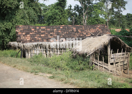 Madia are one of the endogamous Gond tribes living in Chandrapur ...