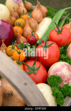 A wooden garden trug full of Vegetables, England, UK Stock Photo