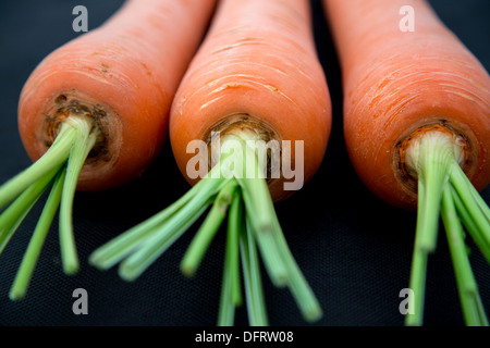 Carrots Stock Photo