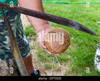 Local man demonstrates how to open a coconut on the island of Kosrae, Micronesia. Stock Photo