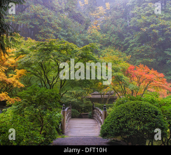Foggy Morning in Japanese Garden with Wooden Foot Bridge during Fall Season Stock Photo
