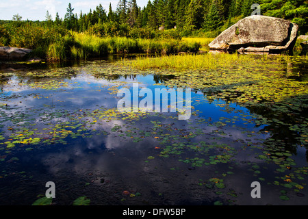 Algonquin Provincial Park Huntsville Ontario Canada Opeongo Lake Stock Photo