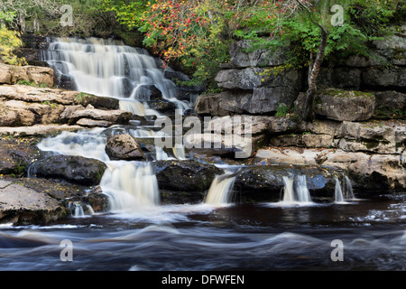 East Gill Lower Falls Meeting the River Swale in Autumn Yorkshire Dales UK Stock Photo