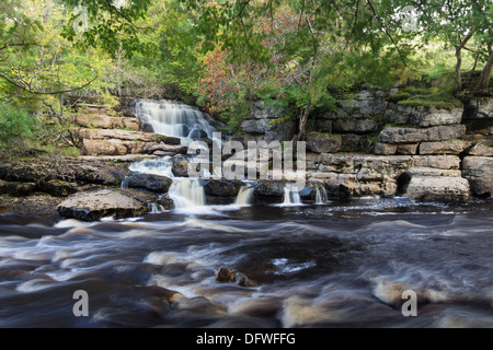 East Gill Lower Falls Meeting the River Swale in Autumn, Keld  Swaledale Yorkshire Dales UK