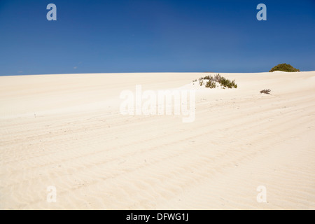 Dunas de Corralejo in Fuerteventura, some desert like sand dunes near the coast. Stock Photo