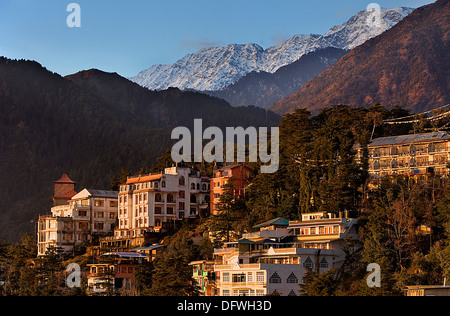 McLeod Ganj, Dharamsala, Himachal Pradesh state, India, Asia Stock Photo