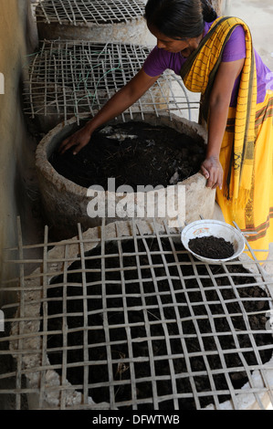 Vermicompost Stock Photo: 97084169 - Alamy