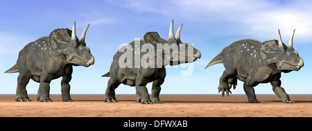 Three Nedoceratops standing in the desert by daylight. Stock Photo