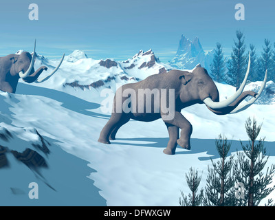 Two large mammoths walking slowly on the snowy mountain. Stock Photo