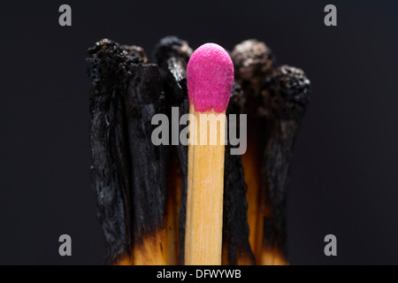 Concept photo showing burned out matches with one untouched one illustrating the burned out and leadership business metaphor Stock Photo