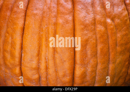 orange pumpkin skin background and texture Stock Photo