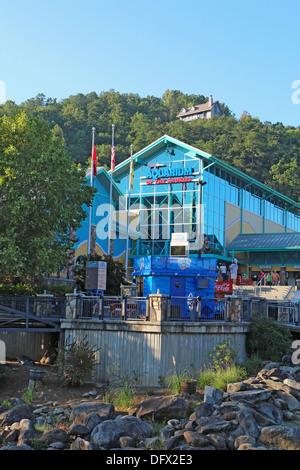 Ripleys Aquarium of the Smokies in downtown Gatlinburg, Tennessee vertical Stock Photo