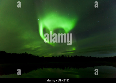 Vivid Northern Lights reflection over Olnes pond in Fairbanks, Alaska Stock Photo