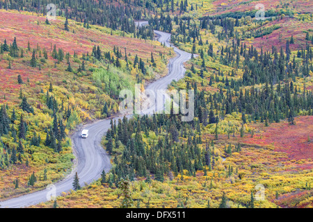 Winding park road in Denali national park in blazing fall colors, Alaska Stock Photo