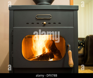 Wood stove and wood burning inside Stock Photo