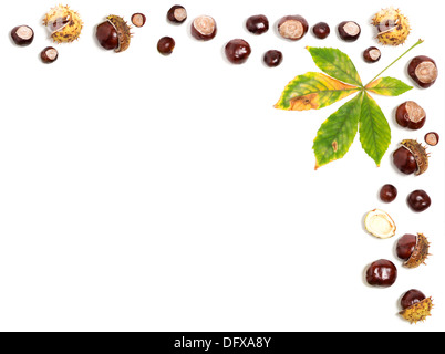 Autumn frame for seasonal greeting made of chestnuts with blank space for text, white background Stock Photo