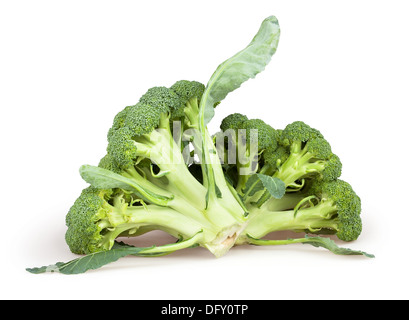 broccoli group two on white background Stock Photo