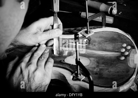 stringed instrument workshop