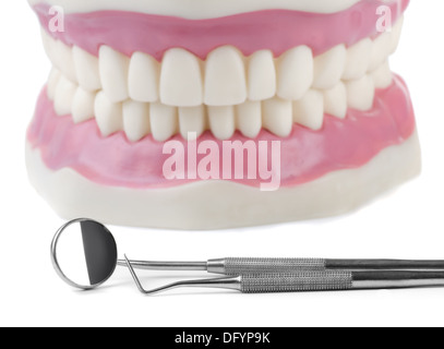 Anatomical teeth model and dental tools Stock Photo