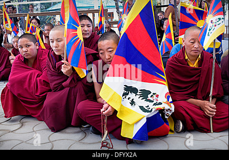 women's demonstration, for the freedom of Tibetan women, in Namgyal Monastery, Tsuglagkhang complex. McLeod Ganj, Dharamsala Stock Photo