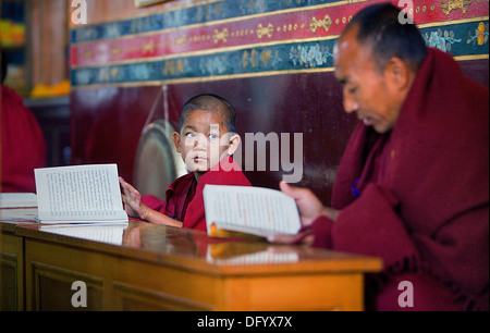 Puja,Monks praying, in Dip Tse Chok Ling Monastery.McLeod Ganj, Dharamsala, Himachal Pradesh state, India, Asia Stock Photo