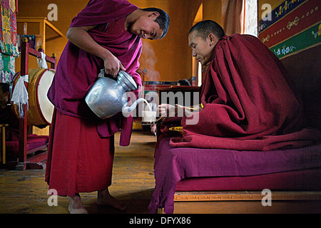 Drinking Chai,Puja,Monks Praying, In Dip Tse Chok Ling Monastery.McLeod ...