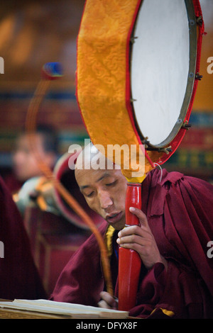 Puja,Monks praying, in Dip Tse Chok Ling Monastery.McLeod Ganj, Dharamsala, Himachal Pradesh state, India, Asia Stock Photo