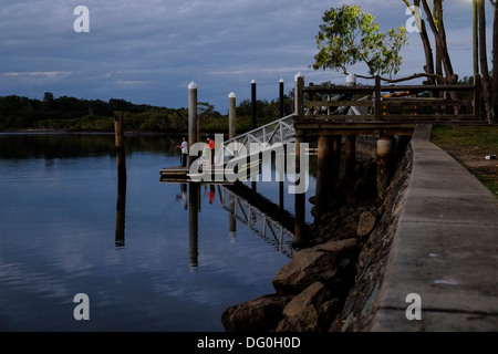 At Deepwater Bend, Tinchi Tamba Wetlands, Brisbane, Queensland, Australia Stock Photo