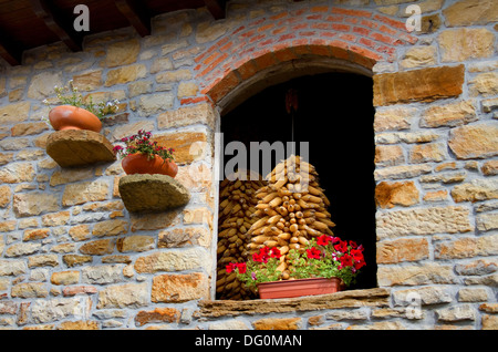 Bunch of Corn Cobs Drying in Rural Ambient. Stock Photo