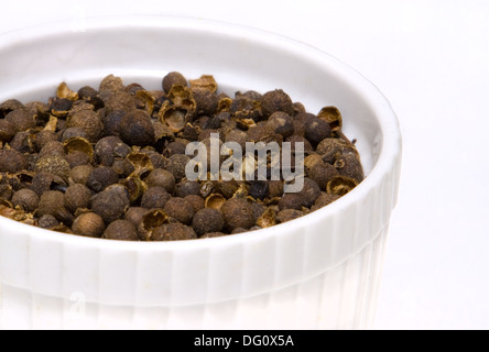 Broken Peppercorns from Jamaica in a White Bowl. Stock Photo