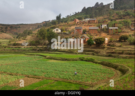 Highland village with rice paddies, Madagascar Stock Photo