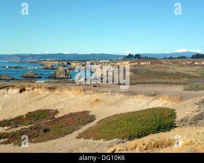 California, USA. 30th Aug, 2013. The Pacific coast at the California State Route 1 near by Fort Bragg in California, United States of America, 30 August 2013. Photo: Alexandra Schuler/dpa/Alamy Live News Stock Photo