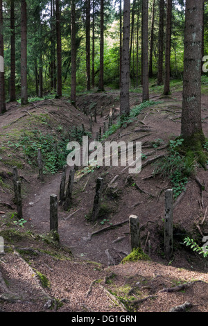 First World War One London communication trench / tranchée de Londres in forest, Douaumont, Lorraine, Battle of Verdun, France Stock Photo