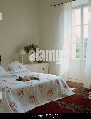 Grey cat sleeping on bed with rose-patterned white cotton bed cover in white French bedroom with white voile curtains Stock Photo