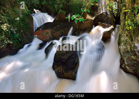 Argentina, Iguassu National Park: Detailed spot and paradise cascade of the  Iguassu Falls Stock Photo