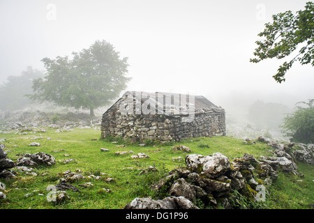 stone house in countryside in foggy and rainy day Stock Photo
