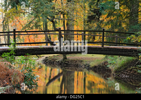 Autumn reflections, the Bridge at Black Water, New Forest,Hampshire Stock Photo