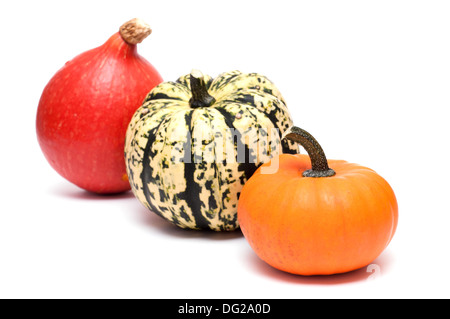 Three pumpkins in a row on white background Stock Photo