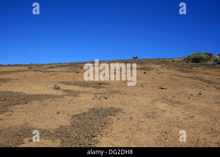 The Caneries  Tenerife - World Heritage Site - pico de teide Stock Photo