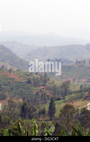 Rural Rwanda Land of 1000 Hills farms banana and hills with terracing ...