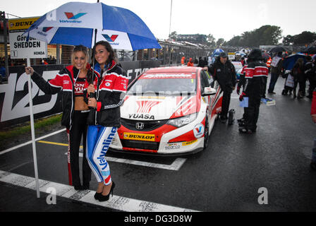 Brands Hatch Race Circuit, Kent, UK. 13th Oct, 2013. Action from the final round of the British Touring Car Championship, where driver Andrew Jordon sealed the championship for Pirtek Racing Team, at Brands Hatch Race Circuit, Kent, UK. Credit:  Kevin Bennett/Alamy Live News Stock Photo