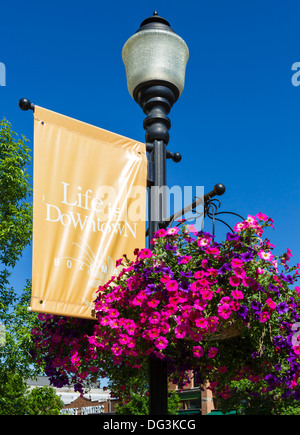 Hanging flower basket and 'Life is Downtown' banner on Main Street, Bozeman, Montana, USA Stock Photo