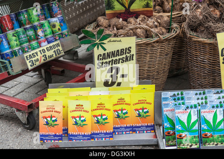 Cannabis seeds on sale in the flower market, Amsterdam, Holland - Cannabis Starter Kit - with other packets of seeds Stock Photo