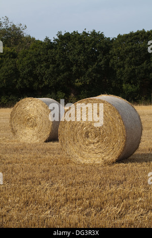 Round, net bound and wrapped straw bales, left on stubble after cereal harvest gathered in. Stock Photo