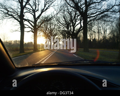 tree-lined road seen through car windshield LHD Stock Photo