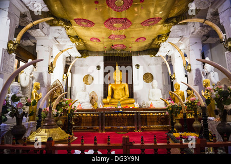 Golden Buddha statue at Temple of the Sacred Tooth Relic (Sri Dalada Maligawa), UNESCO World Heritage Site, Kandy, Sri Lanka Stock Photo