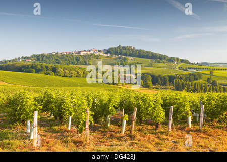 The vineyards of Sancerre in the Loire Valley, Cher, Centre, France, Europe Stock Photo