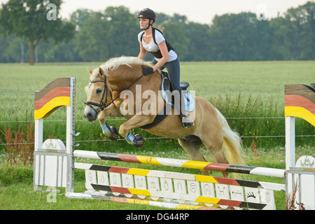Young rider wearing a back belt jumping on back of a Haflinger horse Stock Photo