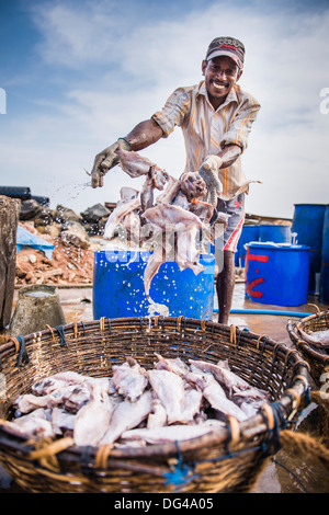 Fishermen carry their catch of fish in a basket towards the Negombo Fish  Market for sale. Negombo is located on the west coast of Sri Lanka Stock  Photo - Alamy