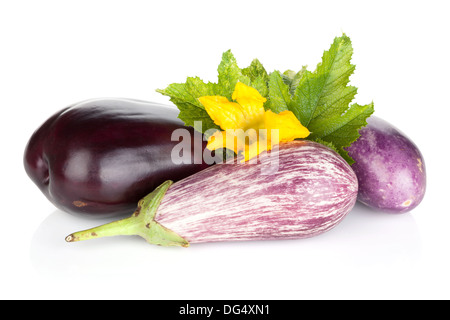 Fresh ripe eggplants. Isolated on white background Stock Photo